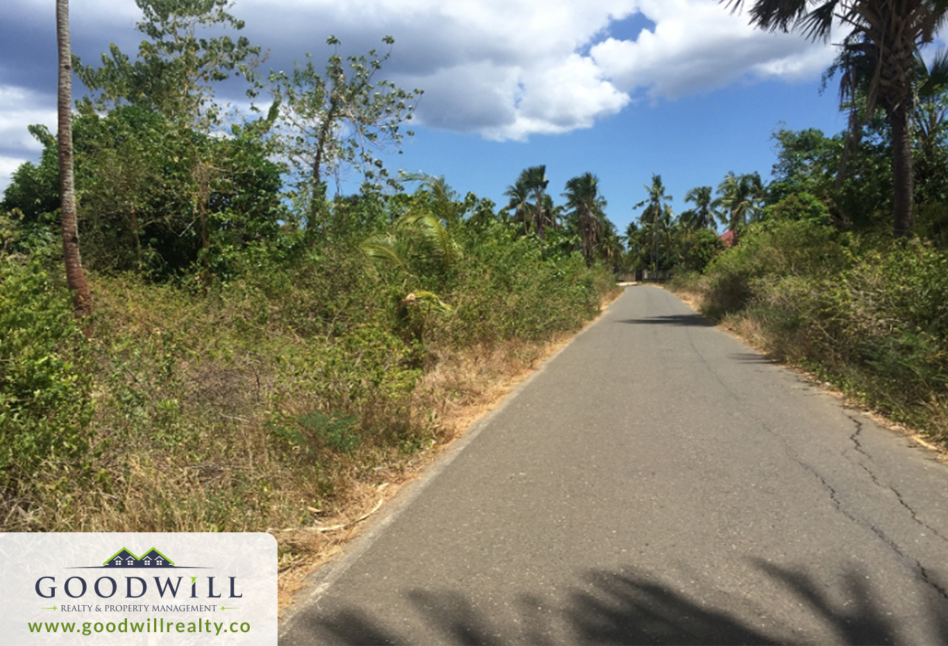 Beach Property in San Remigio Cebu for Sale