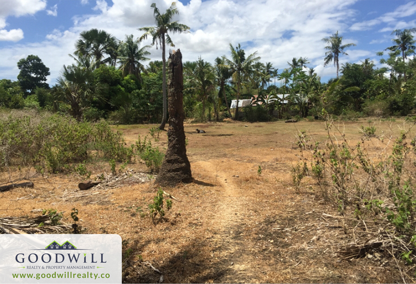 Beach Property in San Remigio Cebu for Sale