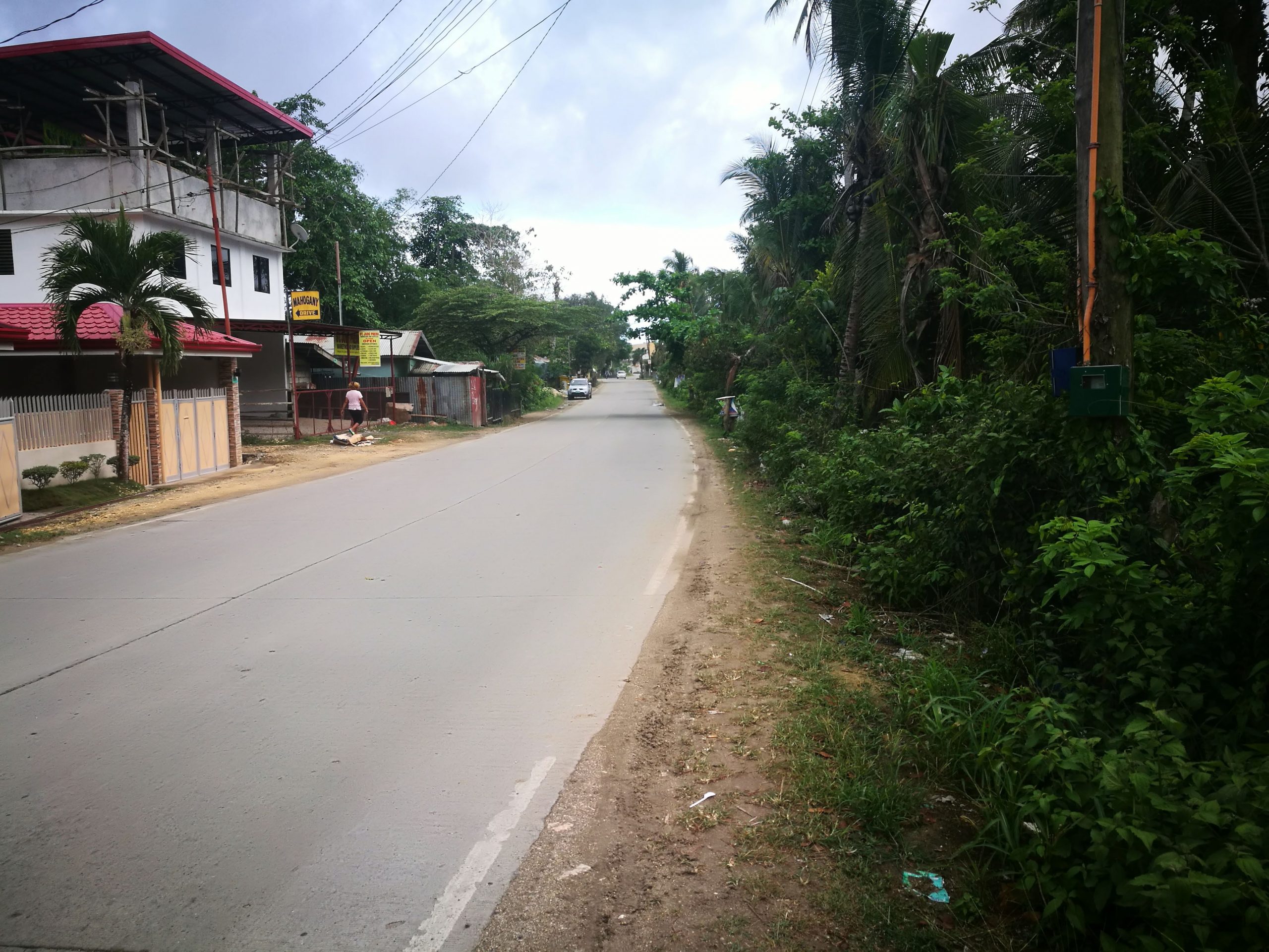 BOHOL_COMMERCIAL_LOT_NEAR ICM_FOR_SALE