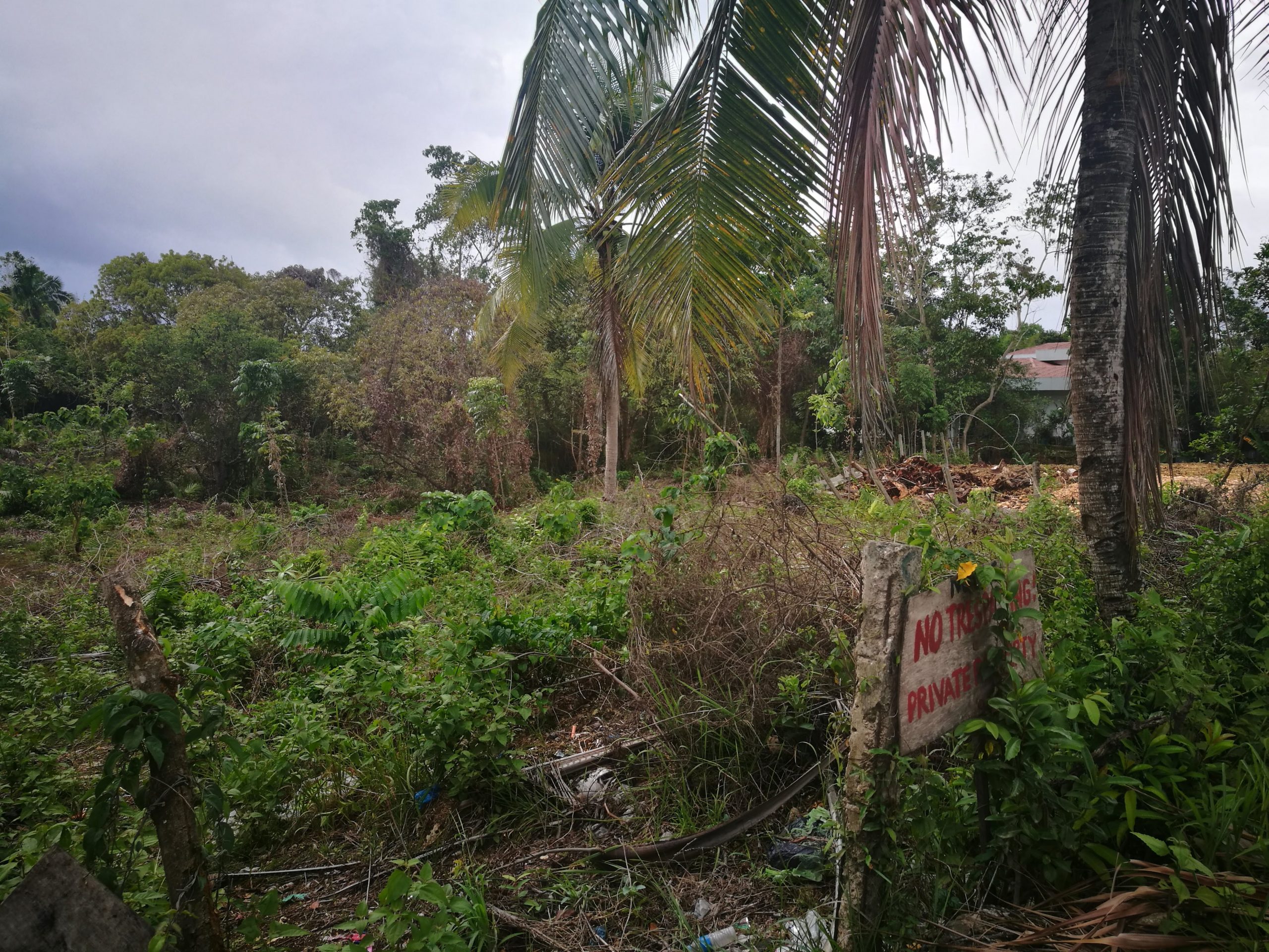 BOHOL_COMMERCIAL_LOT_NEAR ICM_FOR_SALE