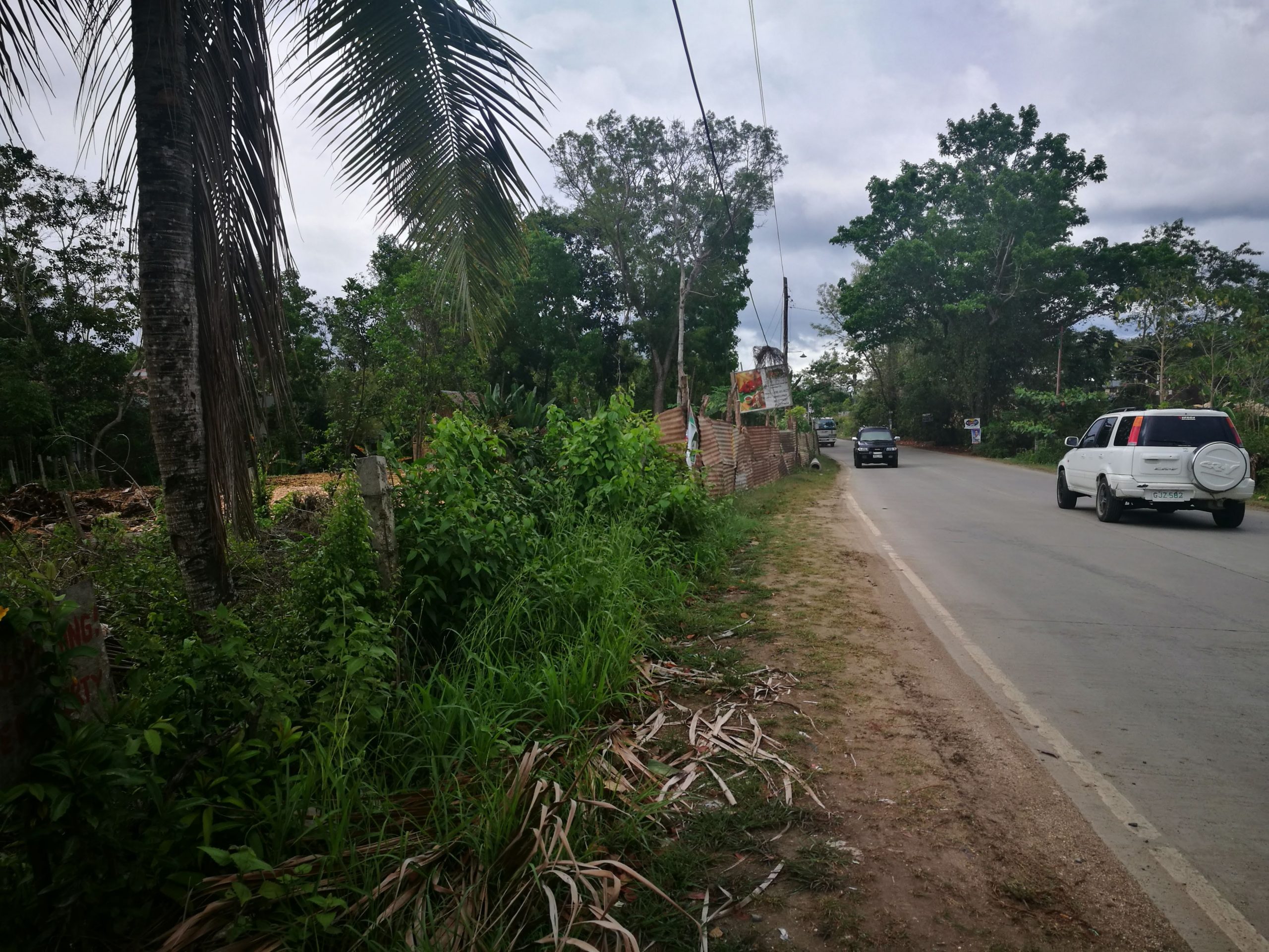 Commercial Lot in Tagbilaran City Bohol