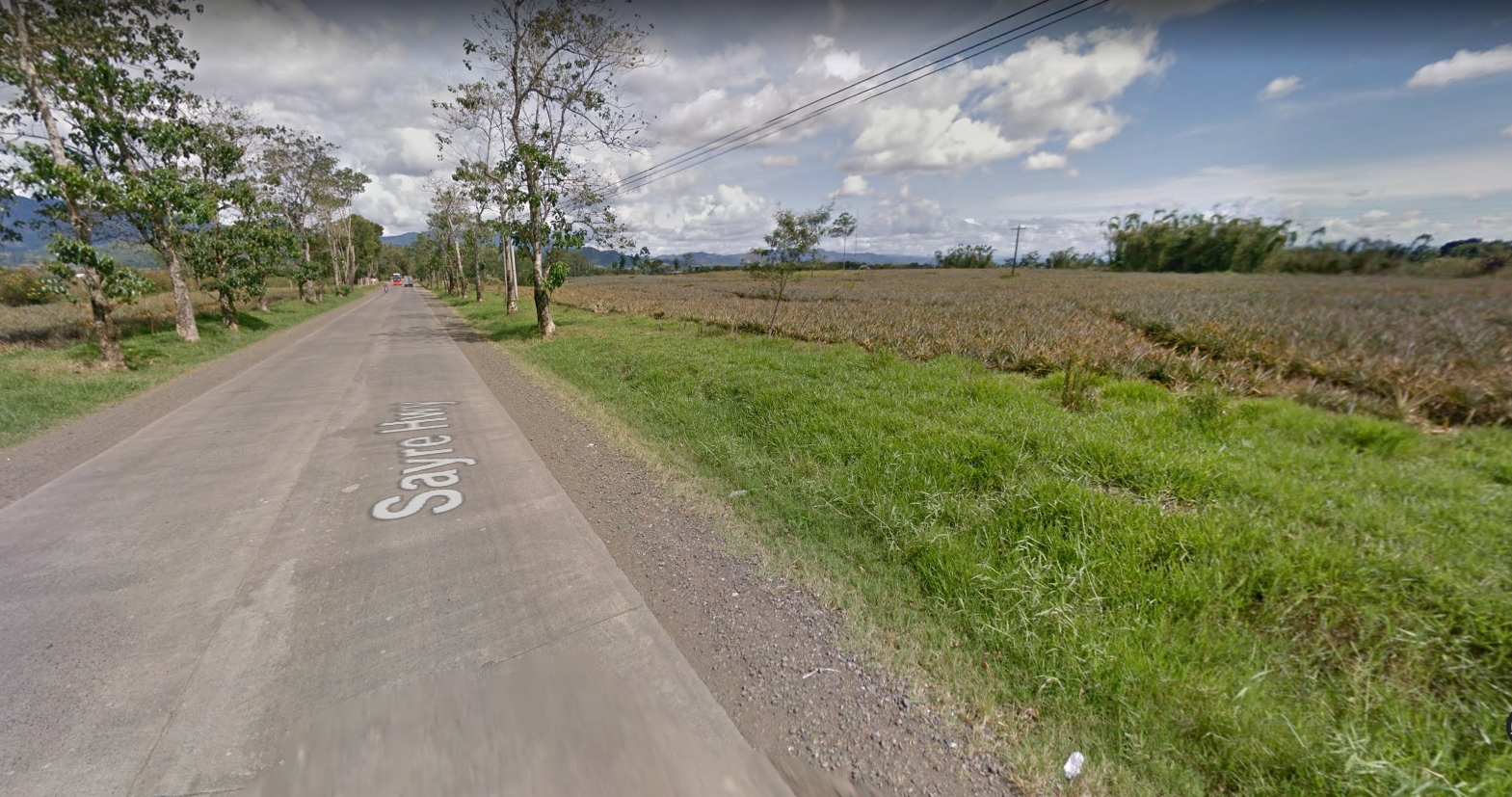 Malaybalay-Bukidnon-Lot-along-highway