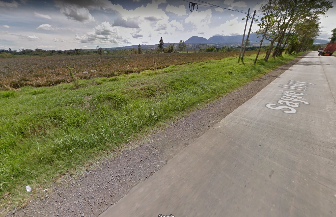 Malaybalay-Bukidnon-Lot-along-highway