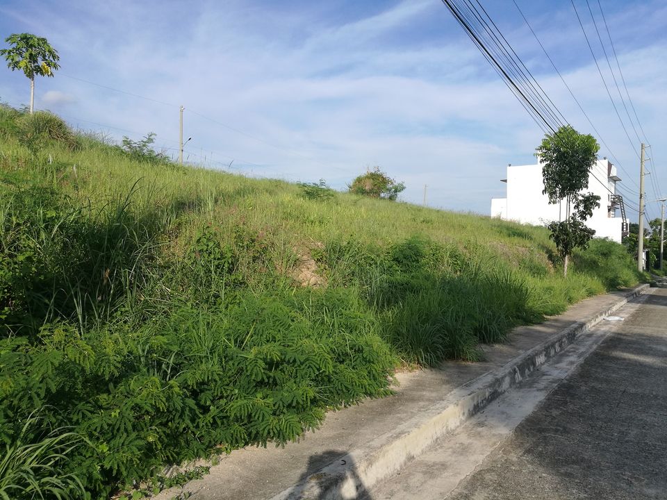 Residential Lot with an overlooking view