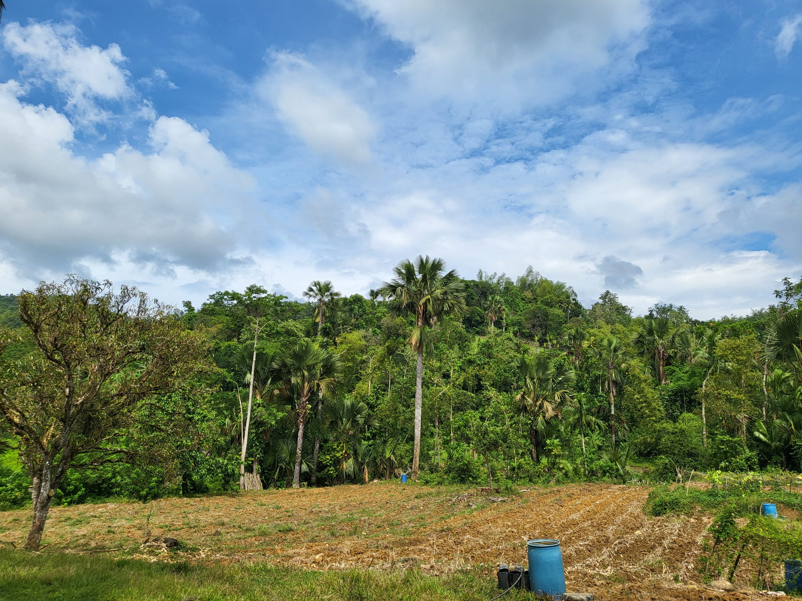 Land for sale in Agusngot, Cebu City, Cebu.