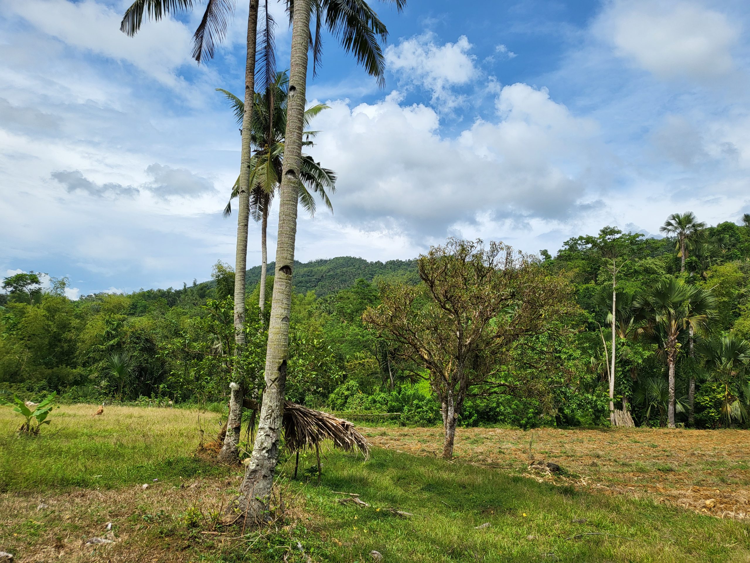 Land for sale in Agusngot, Cebu City, Cebu.